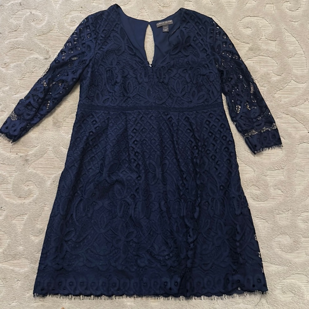 Navy lace maternity dress A Pea In The Pod